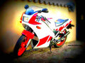 Yamaha TZR 250 1988 6 motorbike A4 Photo Print