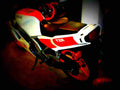 Yamaha TZR 250 1990 1 motorbike A4 Photo Print