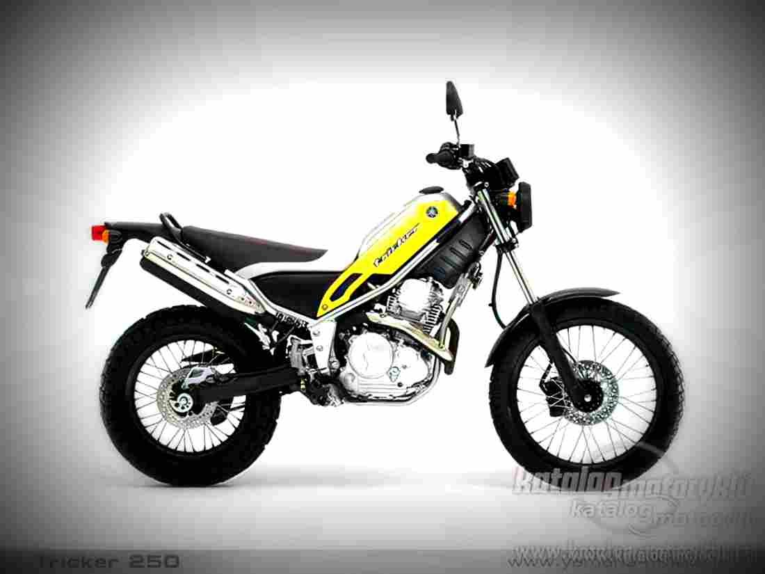 Yamaha Tricker 250 Tricker 250 1 motorbike A4 Photo Print