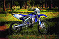 Yamaha WR250F 2017 1 motorbike A4 Photo Print