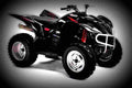 Yamaha Wolverine 450 2008 2 motorbike A4 Photo Print