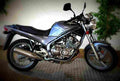Yamaha XJ 600 N 1994 1 motorbike A4 Photo Print