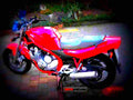 Yamaha XJ 600 N 1996 1 motorbike A4 Photo Print