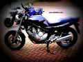 Yamaha XJ 600 N 1996 5 motorbike A4 Photo Print