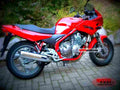 Yamaha XJ 600 N 2002 1 motorbike A4 Photo Print