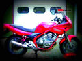 Yamaha XJ 600 S 1984 3 motorbike A4 Photo Print