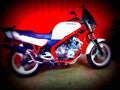 Yamaha XJ 600 S Diversion 1992 4 motorbike A4 Photo Print