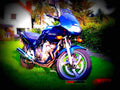 Yamaha XJ 600 S Diversion 1994 2 motorbike A4 Photo Print