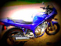 Yamaha XJ 600 S Diversion 1994 3 motorbike A4 Photo Print
