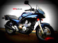Yamaha XJ 600 S Diversion 1994 4 motorbike A4 Photo Print
