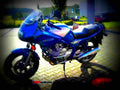 Yamaha XJ 600 S Diversion 1995 3 motorbike A4 Photo Print