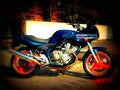 Yamaha XJ 600 S Diversion 1995 5 motorbike A4 Photo Print