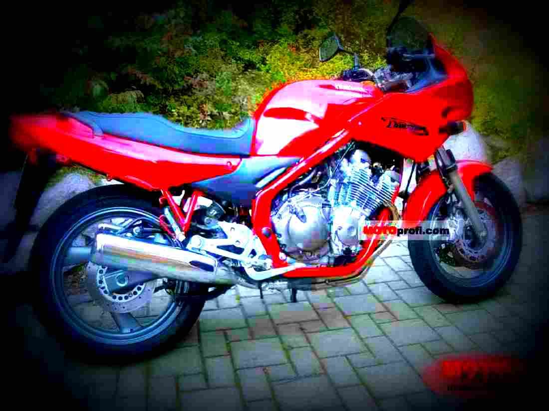 Yamaha XJ 600 S Diversion 2003 2 motorbike A4 Photo Print