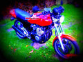Yamaha XJ 600 (reduced effect) 1990 1 motorbike A4 Photo Print