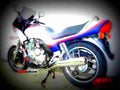 Yamaha XJ 750 S 1984 5 motorbike A4 Photo Print