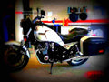 Yamaha XJ 750 Seca 1982 1 motorbike A4 Photo Print