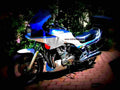 Yamaha XJ 900 F 1991 5 motorbike A4 Photo Print