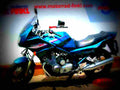 Yamaha XJ 900 S 1995 1 motorbike A4 Photo Print