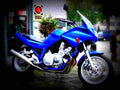 Yamaha XJ 900 S Diversion 2000 6 motorbike A4 Photo Print