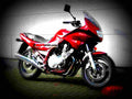 Yamaha XJ 900 S Diversion 2001 4 motorbike A4 Photo Print