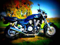 Yamaha XJR 1200 1996 5 motorbike A4 Photo Print
