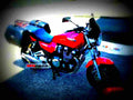 Yamaha XJR 1200 1998 5 motorbike A4 Photo Print