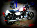 Yamaha XS 1100 1982 1 motorbike A4 Photo Print