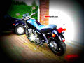 Yamaha XS 1100 S 1981 4 motorbike A4 Photo Print