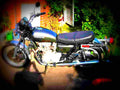 Yamaha XS 650 1977 2 motorbike A4 Photo Print
