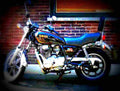 Yamaha XS 650 SE 1982 6 motorbike A4 Photo Print