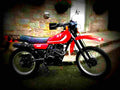 Yamaha XT 250 1989 1 motorbike A4 Photo Print