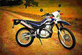 Yamaha XT 250 (reduced effect) 1981 2 motorbike A4 Photo Print