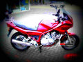 Yamaha XT 250 (reduced effect) 1981 3 motorbike A4 Photo Print