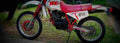 Yamaha XT 350 (reduced effect) 1990 1 800x284 motorbike A4 Photo Print