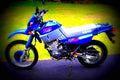 Yamaha XT 350 (reduced effect) 1990 5 motorbike A4 Photo Print