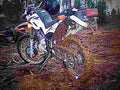 Yamaha XT 500 1988 6 motorbike A4 Photo Print