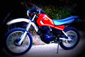 Yamaha XT 550 1982 2 motorbike A4 Photo Print