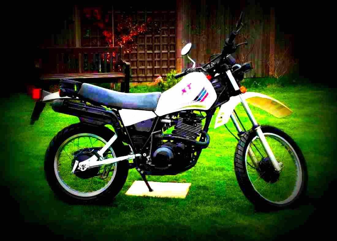 Yamaha XT 550 1983 4 motorbike A4 Photo Print