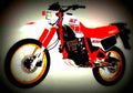 Yamaha XT 600 1986 5 motorbike A4 Photo Print