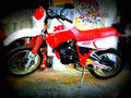Yamaha XT 600 1986 6 motorbike A4 Photo Print