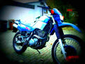 Yamaha XT 600 1990 2 motorbike A4 Photo Print