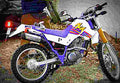 Yamaha XT 600 1993 5 motorbike A4 Photo Print