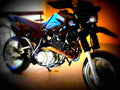 Yamaha XT 600 E 1990 6 motorbike A4 Photo Print