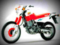 Yamaha XT 600 E 1994 2 motorbike A4 Photo Print