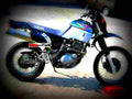 Yamaha XT 600 E 1994 5 motorbike A4 Photo Print