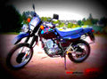 Yamaha XT 600 E 1995 5 motorbike A4 Photo Print