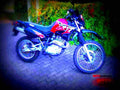 Yamaha XT 600 E 1997 2 motorbike A4 Photo Print