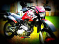 Yamaha XT 600 E 1997 4 motorbike A4 Photo Print