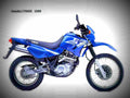 Yamaha XT 600 E 2000 1 motorbike A4 Photo Print