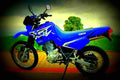 Yamaha XT 600 E 2000 4 motorbike A4 Photo Print